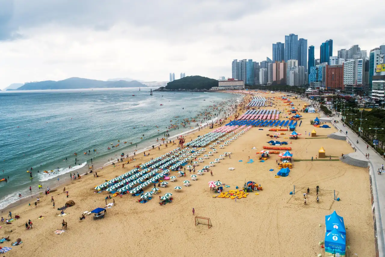 하늘에서 본 여름 해변, 모래사장에 파라솔이 줄지어 있고 물가에 사람들이 있다