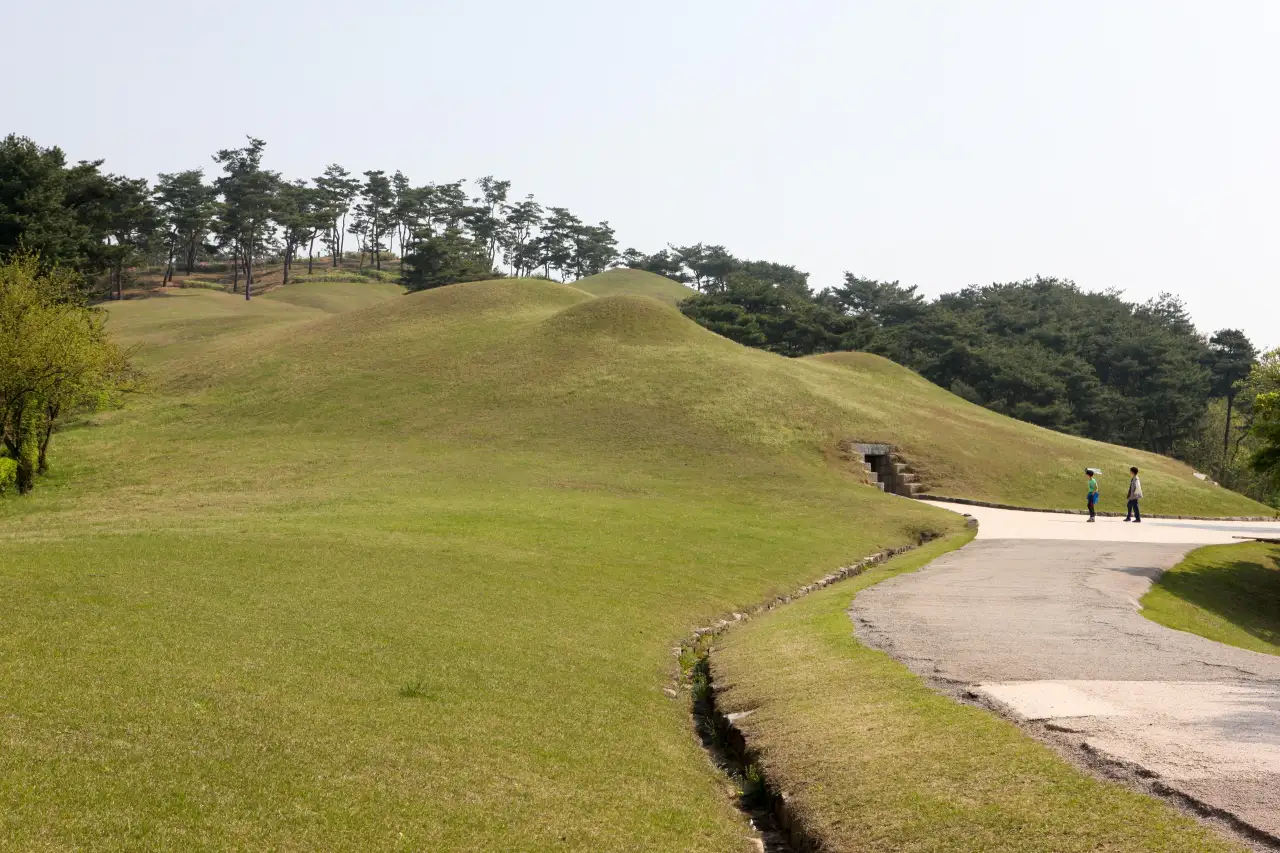 Grass-covered burial mounds on a pine-topped hill with a path curving to the right