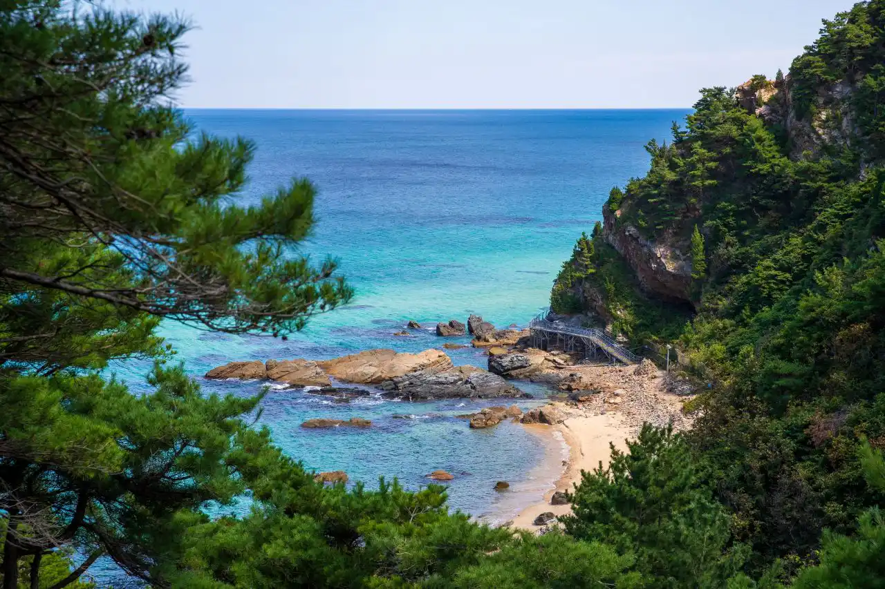 A small cove with clear turquoise water and rocks, seen through pine branches, with a trail staircase below the cliff