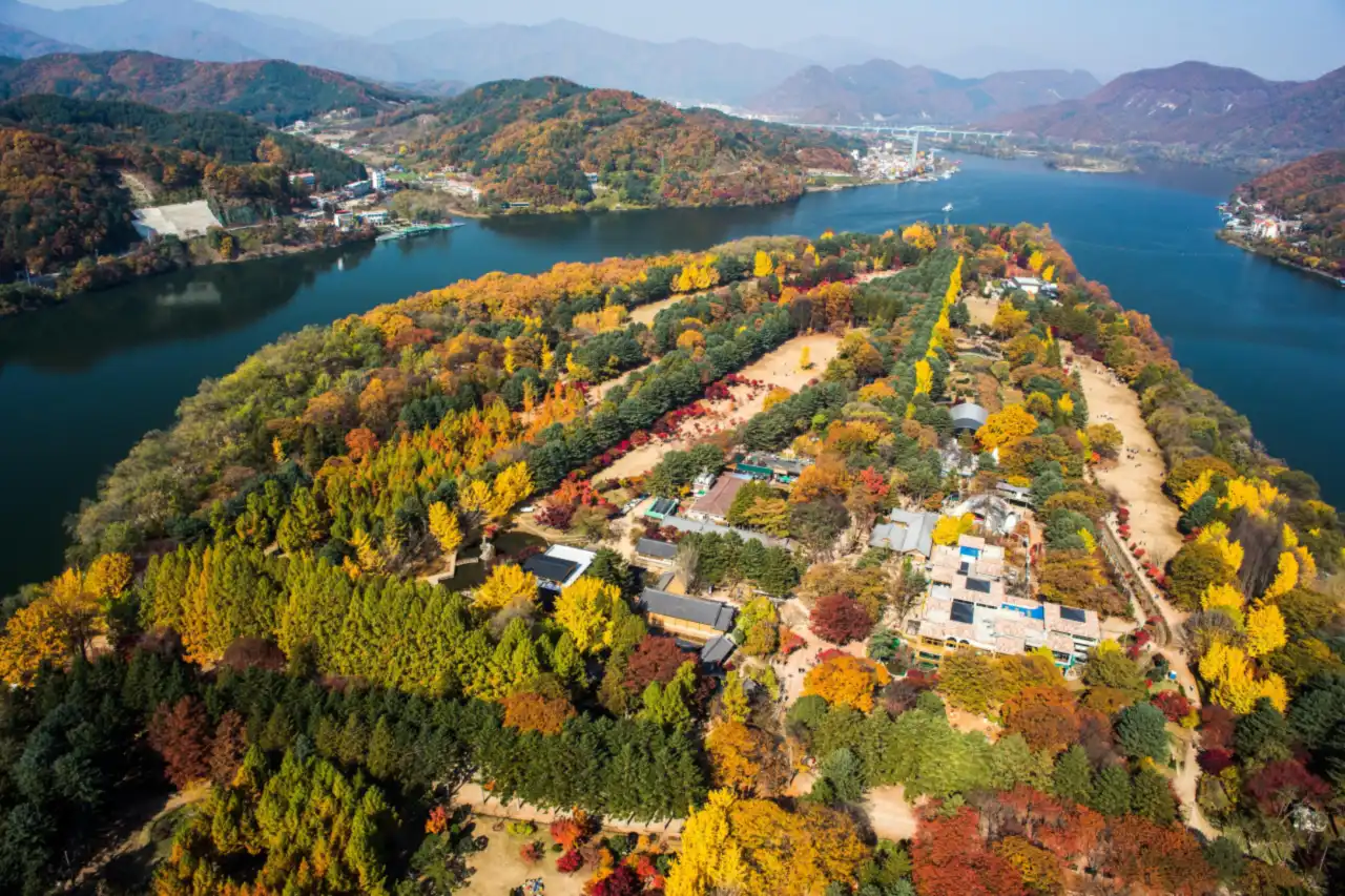 Aerial view of Nami Island ringed by dark blue river water, covered in yellow and red autumn foliage