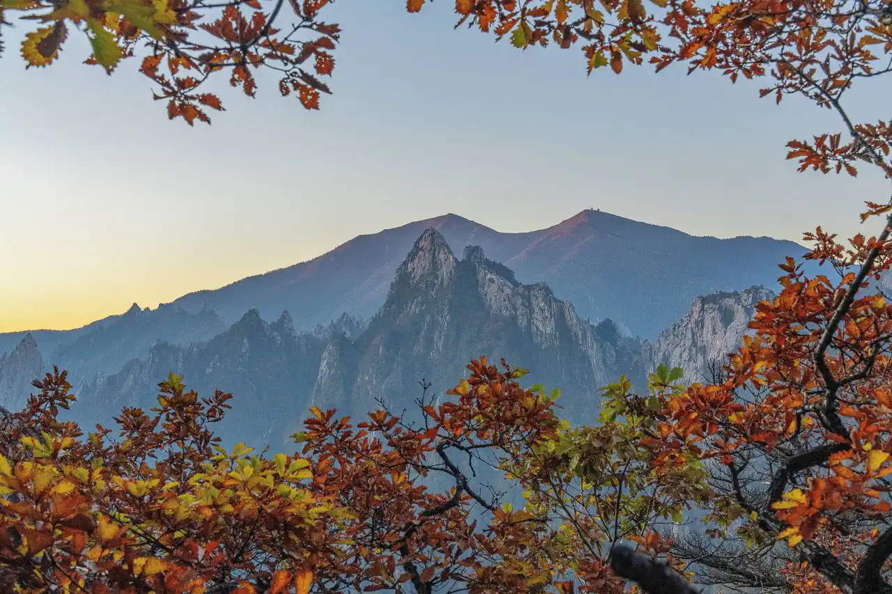 Rocky peaks and distant ridges of Seoraksan framed by red and yellow autumn leaves at dusk