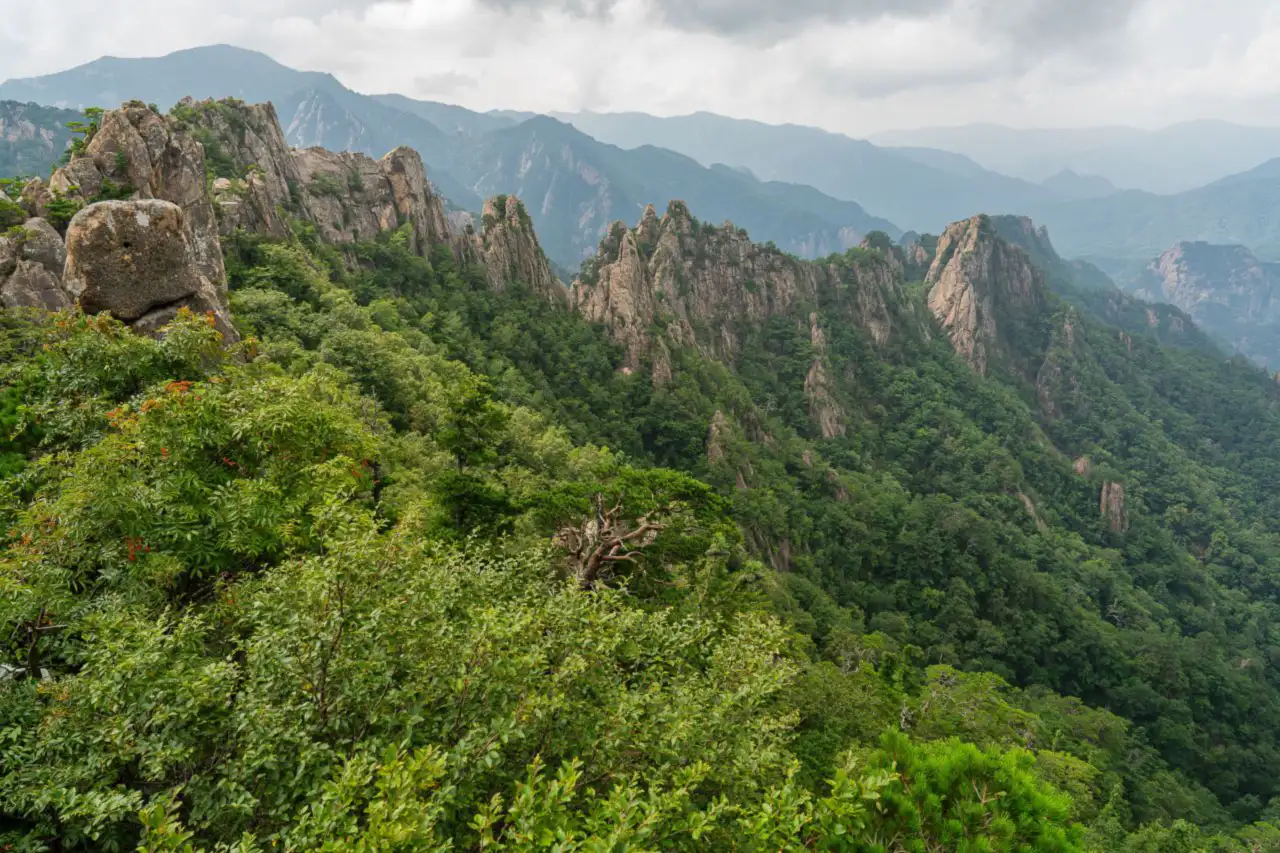 Jagged granite crags rising above green forest with layered mountain ranges beyond