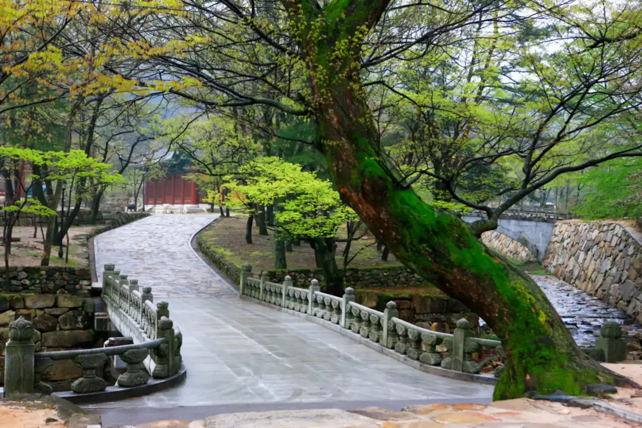 A stone bridge with balustrades and a stream beneath spring-leafed trees, with a red building in the distance