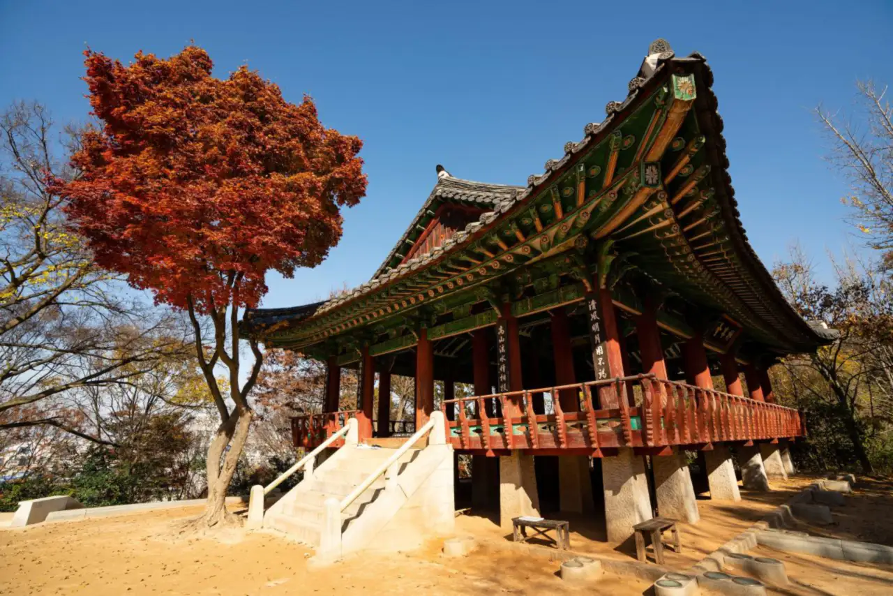 붉은 단풍나무 옆에 처마가 들린 단청 정자가 서 있다