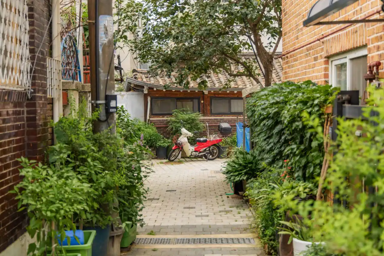 A small paved courtyard framed by potted plants and vines, with a low tiled-roof house at the end