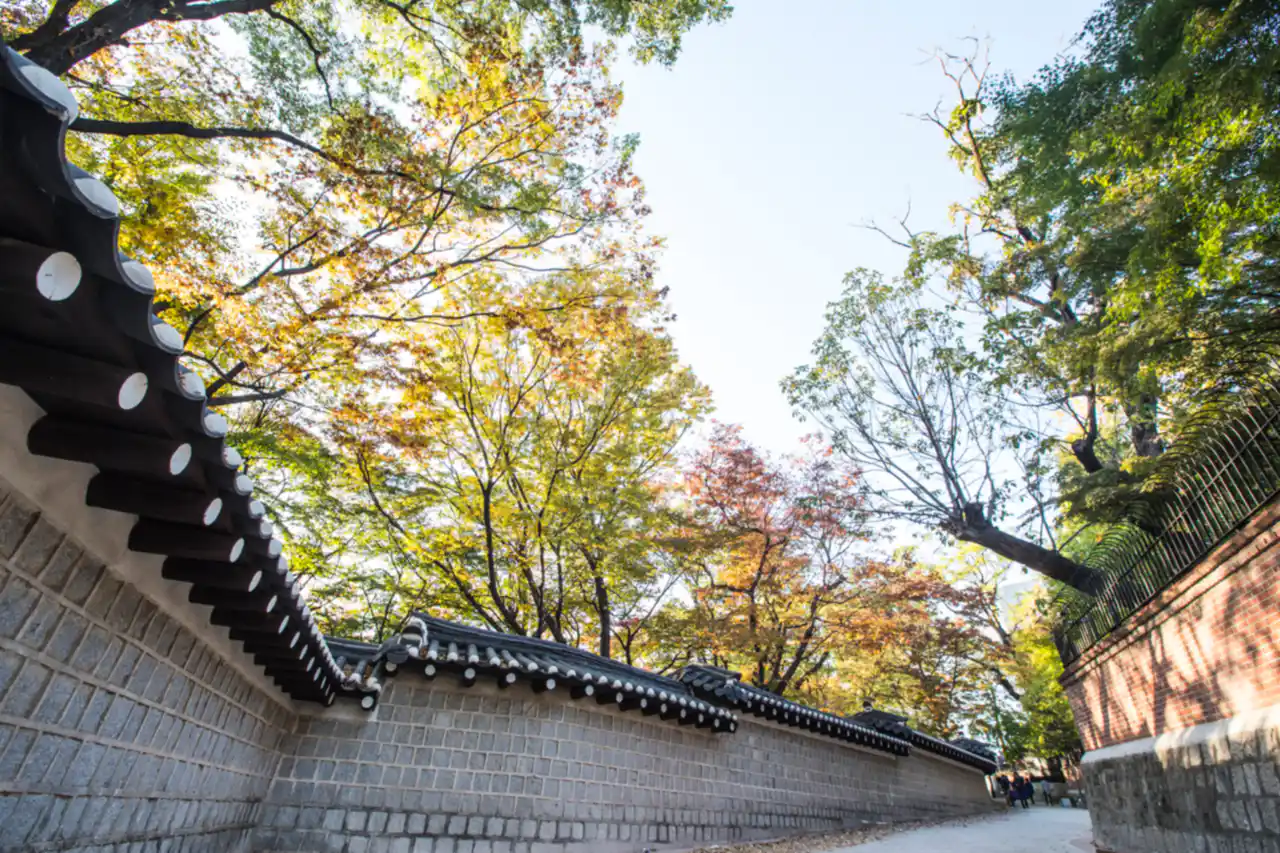 The tile-capped stone wall of Deoksugung running along a footpath under trees turning yellow and red