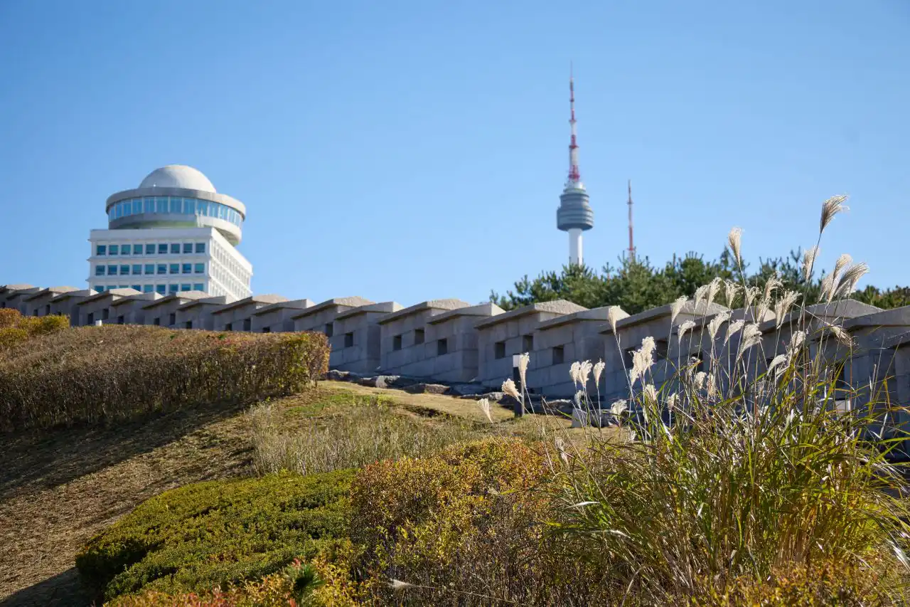 N Seoul Tower above the Namsan section of the old city wall, silver grass in front