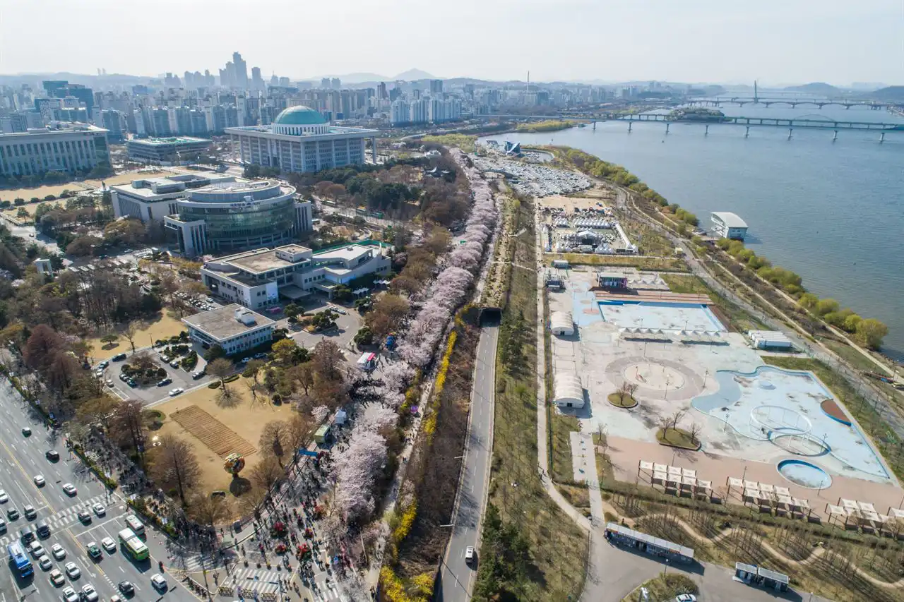 Aerial view of Yeouido Hangang Park along the river and the cherry-blossom road beside it, the National Assembly at left